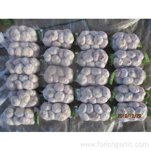 Hot Sale Normal White Fresh Garlic